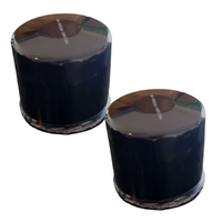 2x Oil Filters fit Briggs & Stratton, Tecumseh Short Type AM12542 492932 492056 696854