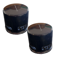2x Oil Filters fit Briggs & Stratton, Tecumseh Short Type AM12542 492932 492056 696854