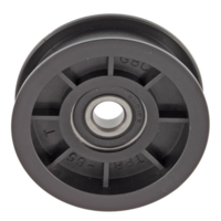 PIFBB126598A - Flat Idler Pulley with Bearing