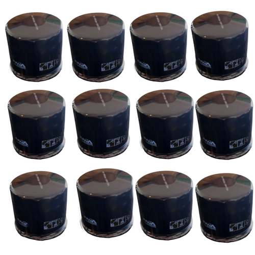 12x Oil Filters fits Tecumseh Short AM12542 492932 492056 696854